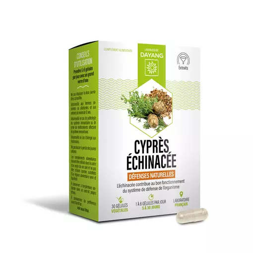 Cyprès Échinacée
