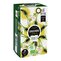 OUI TEA gingembre citron BIO