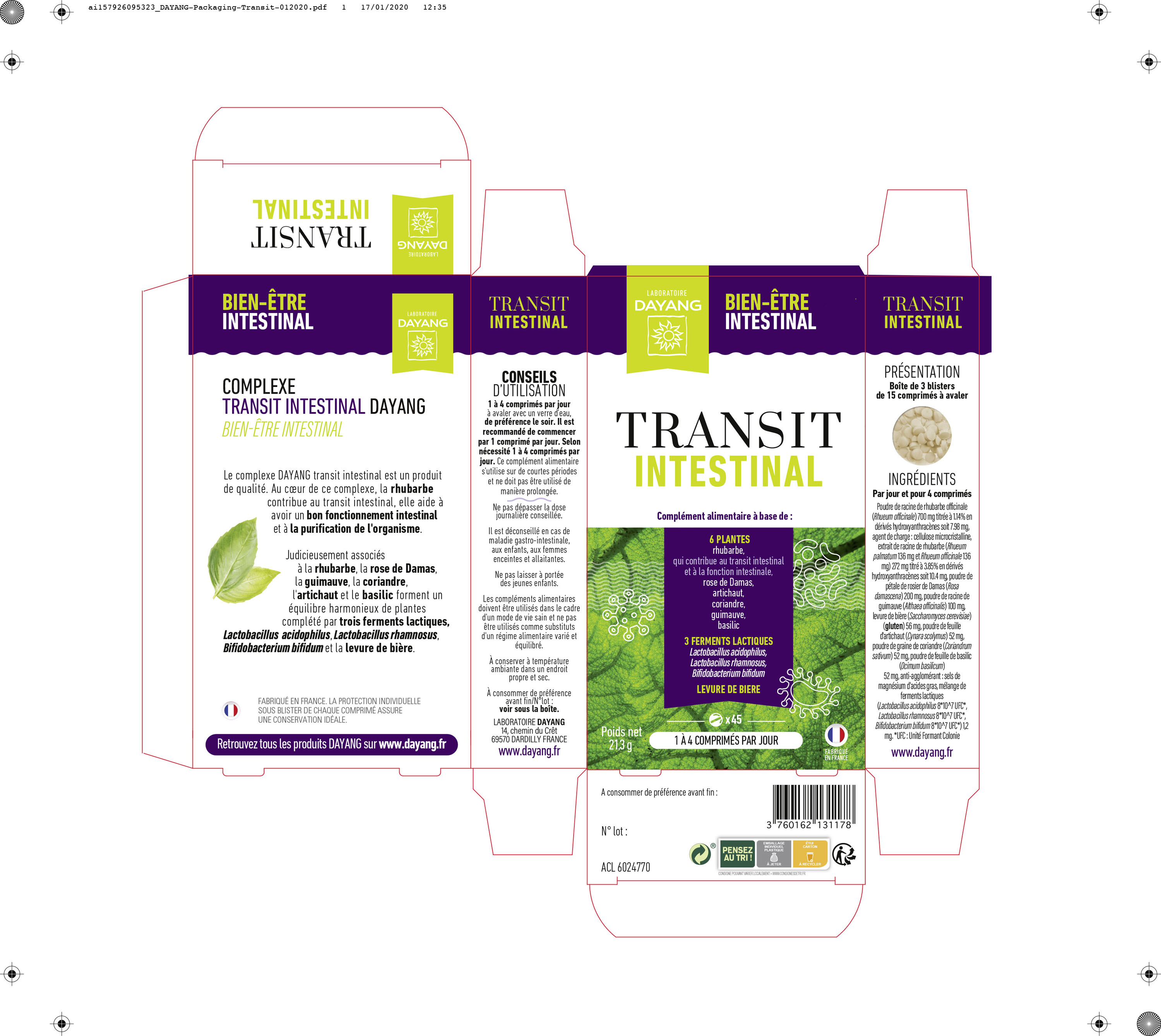 Transit intestinal