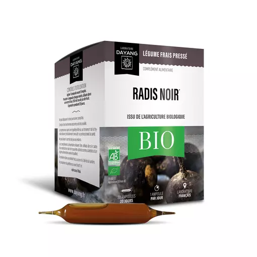 Radis noir BIO