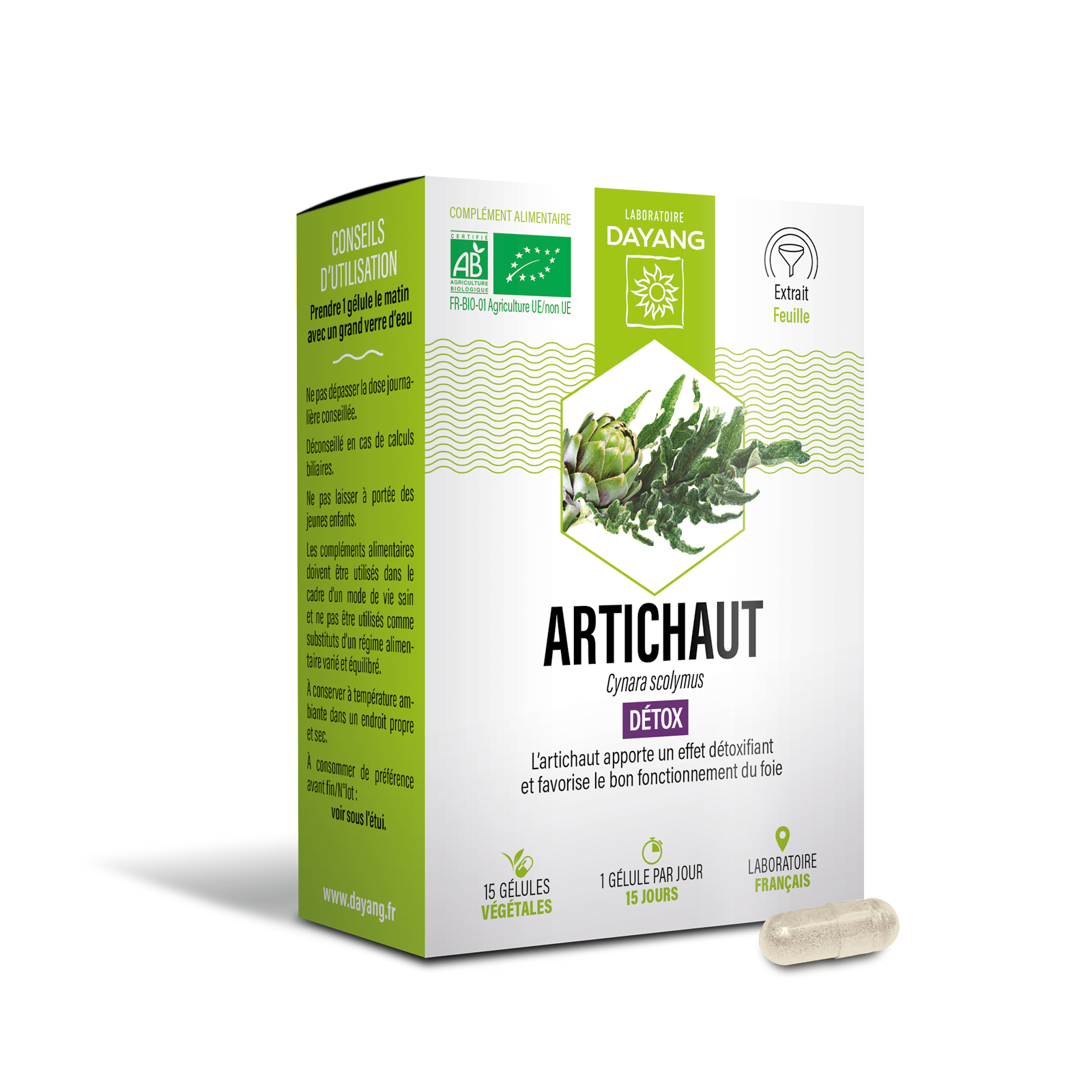 Artichaut BIO