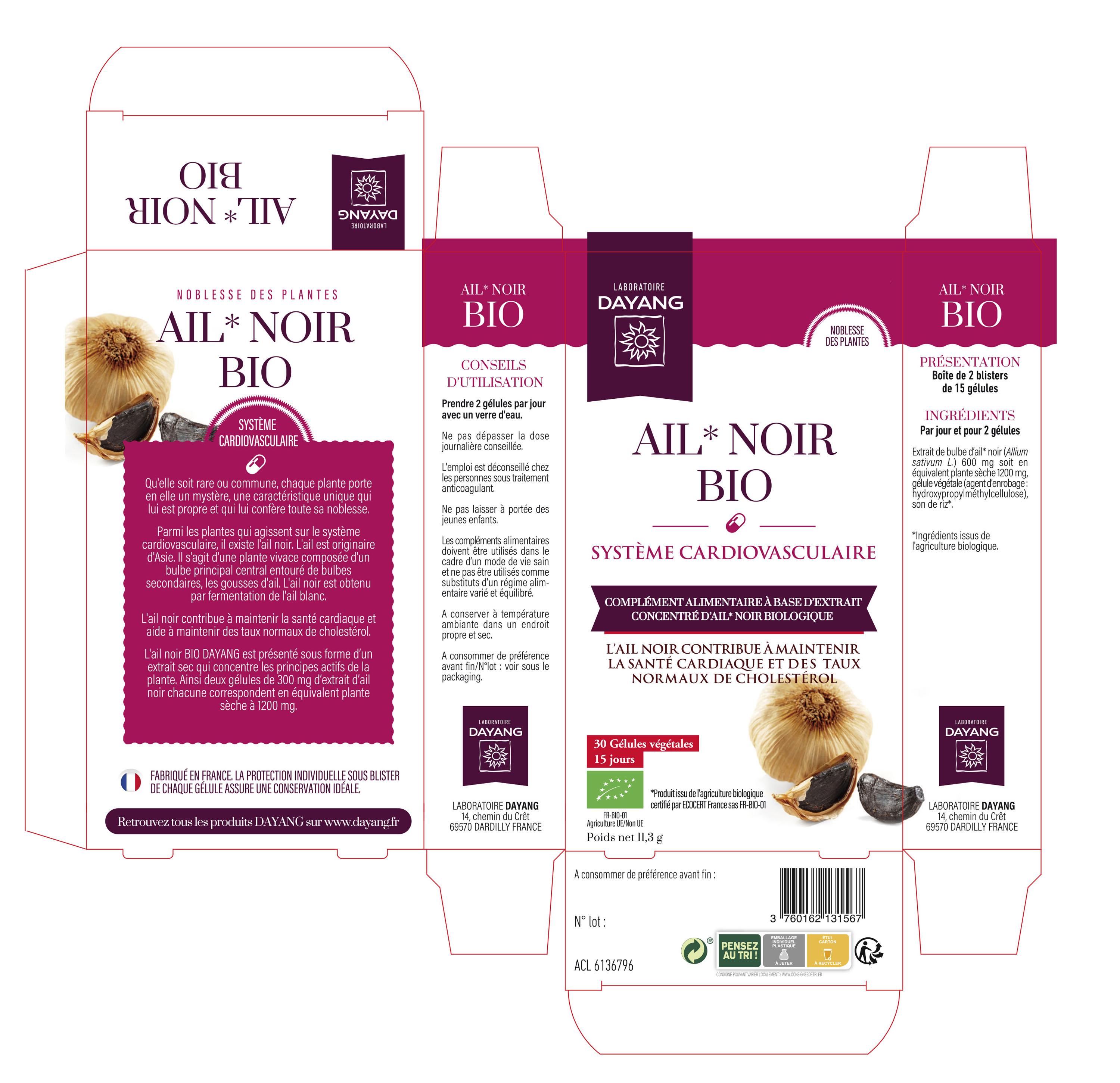 Ail noir BIO