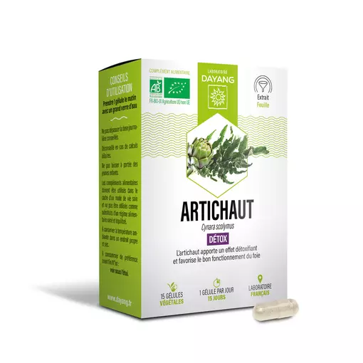 Artichaut BIO